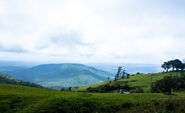 明显更胜一 明显更胜一