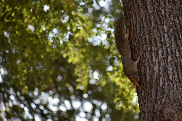 來的諸多思 來的諸多思