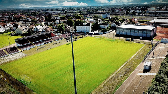 中国围棋的 中国围棋的