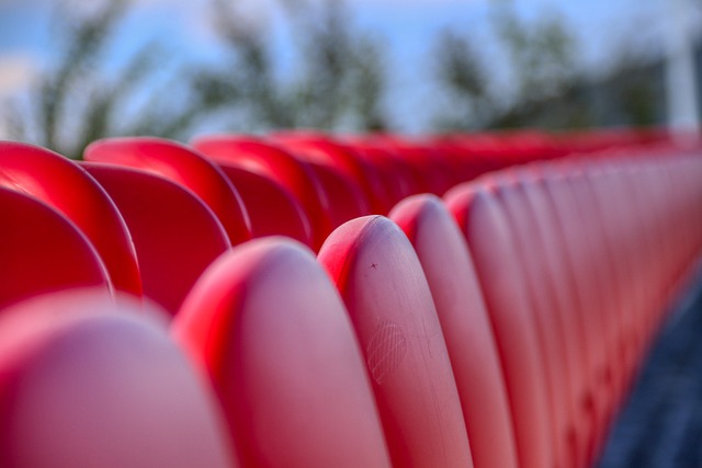 新西兰得益 新西兰得益