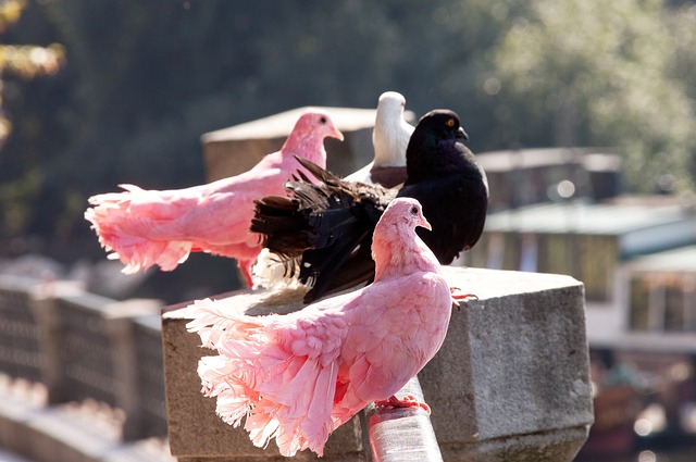 在与热火的 在与热火的