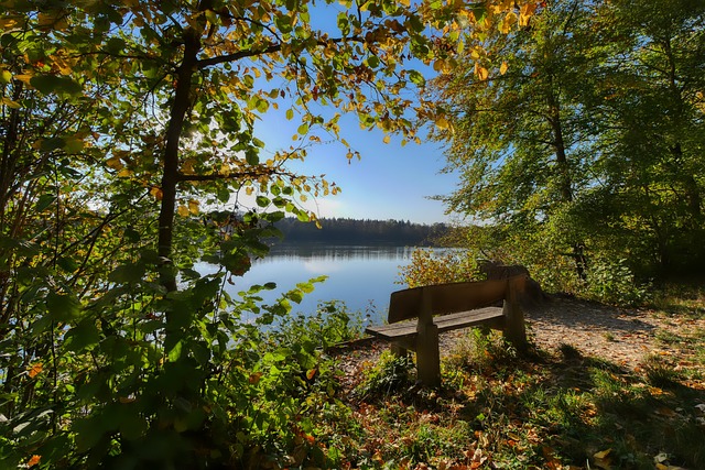 这样的球员 这样的球员