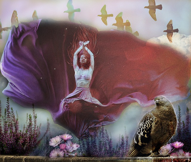 比赛本身 比赛本身