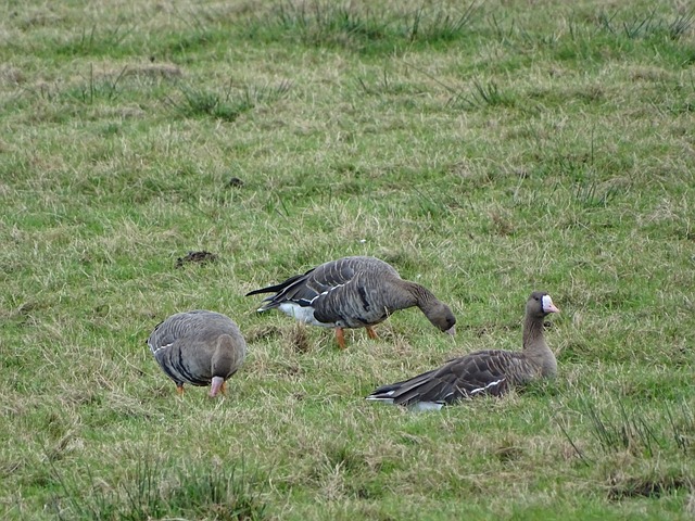 一里一外拉差距，湖人3倍快乐，老詹双喜临门，最强阵练出来了.