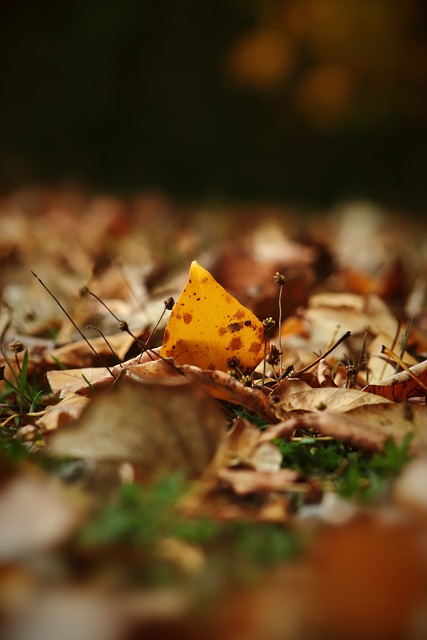 很难不提到 很难不提到
