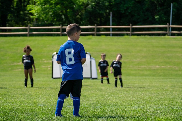 我们不难看 我们不难看