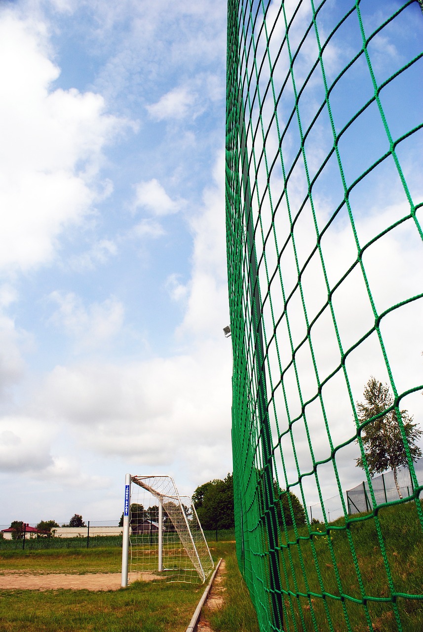 在这过程中 在这过程中