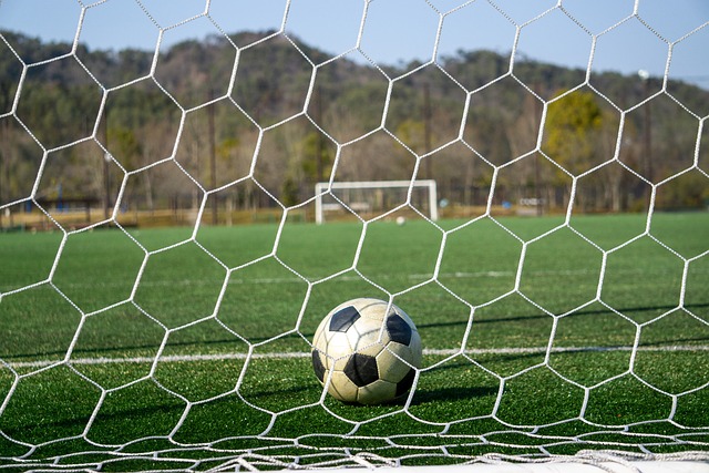 護充分展現 護充分展現