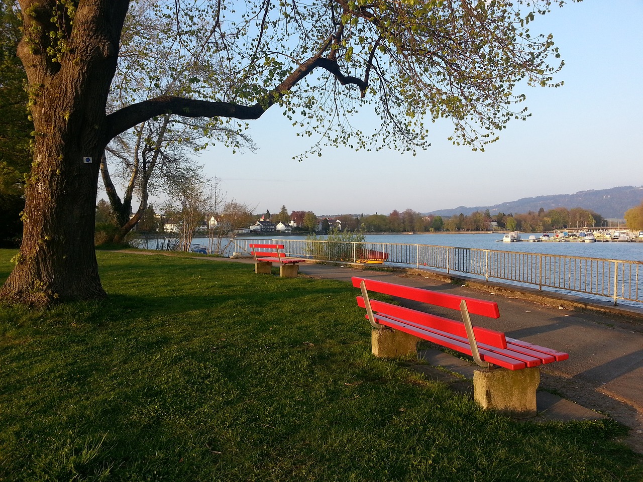 曾面临媒体 曾面临媒体