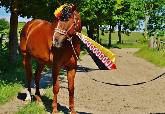 端的特色和 端的特色和